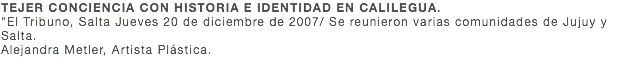 TEJER CONCIENCIA CON HISTORIA E IDENTIDAD EN CALILEGUA. "El Tribuno, Salta Jueves 20 de diciembre de 2007/ Se reunieron varias comunidades de Jujuy y Salta. Alejandra Metler, Artista Plástica.